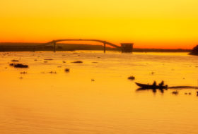 Pantanal